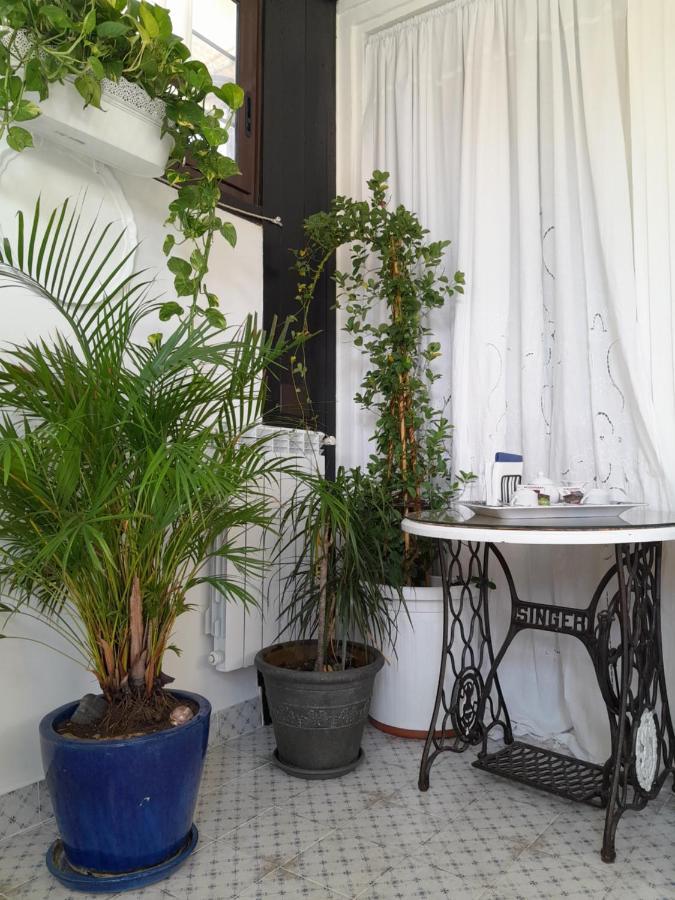 B&B Lido Liberty Λίντο ντι Όστια Εξωτερικό φωτογραφία