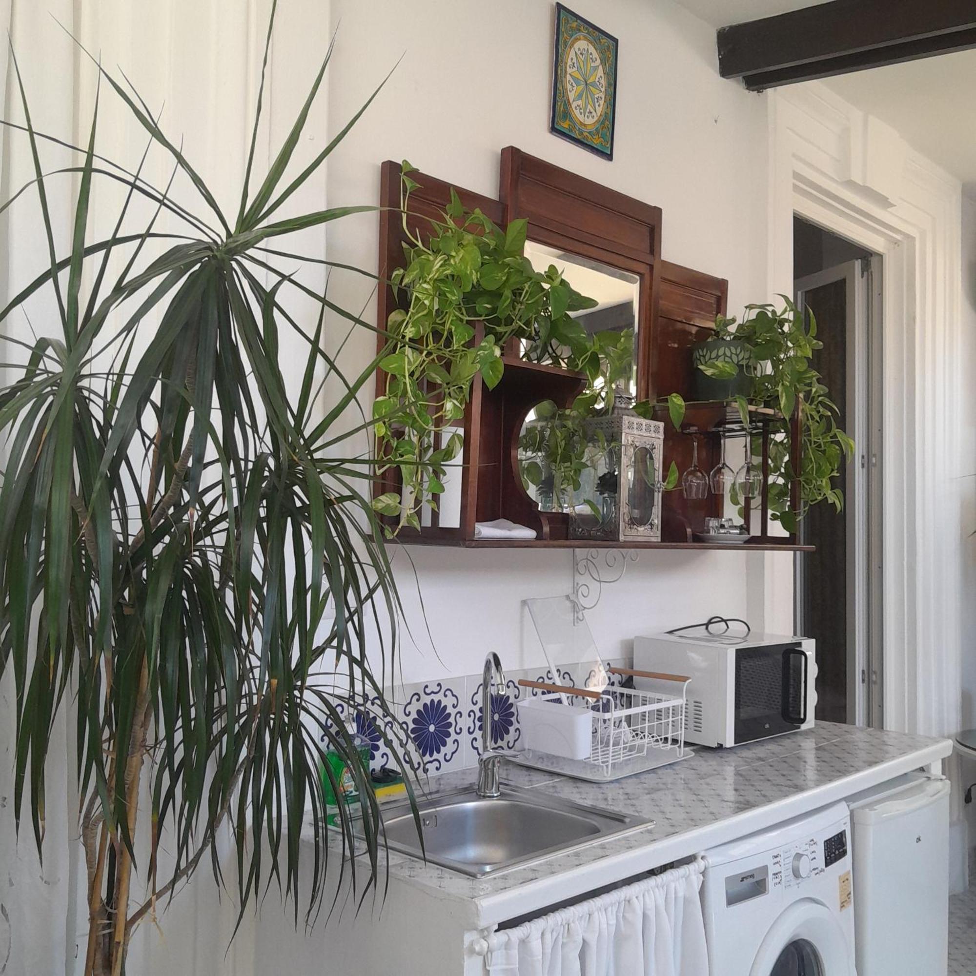 B&B Lido Liberty Λίντο ντι Όστια Εξωτερικό φωτογραφία